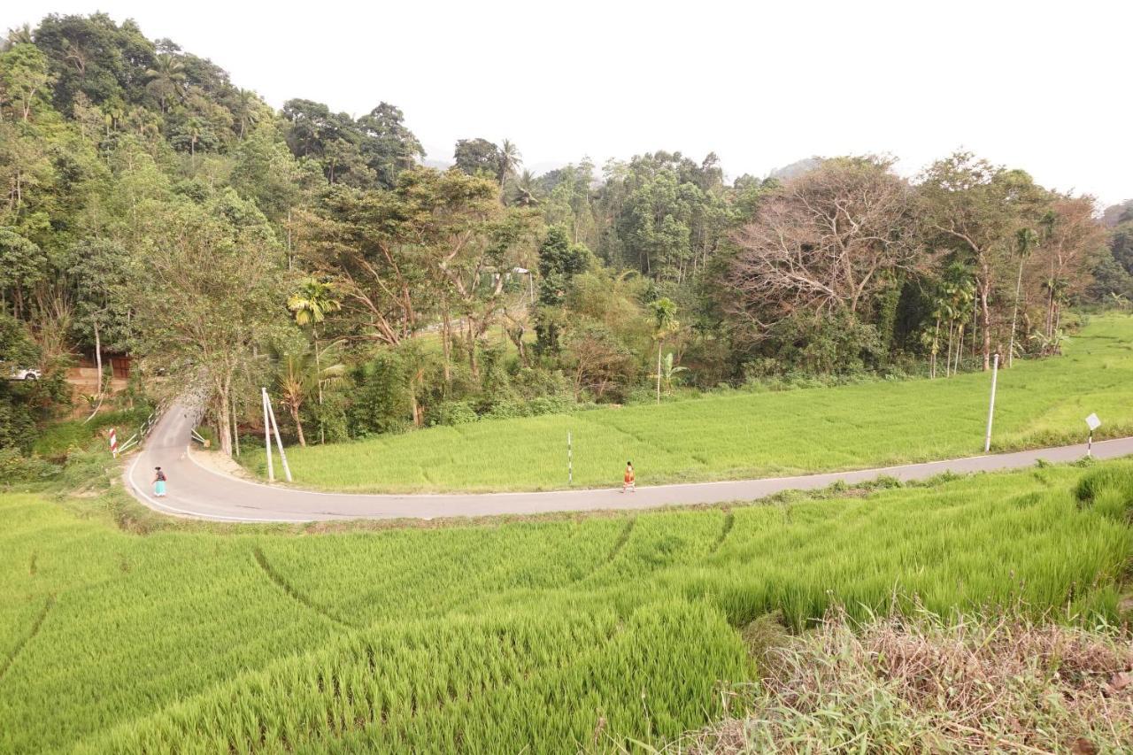 Retiyagama Eco Resort Teldeniya Luaran gambar