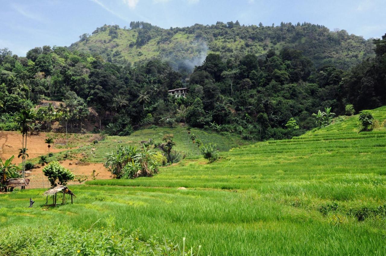 Retiyagama Eco Resort Teldeniya Luaran gambar
