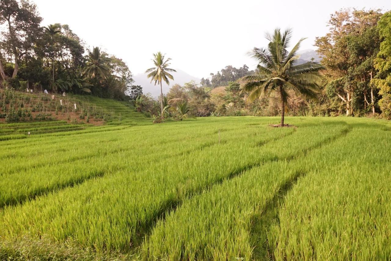 Retiyagama Eco Resort Teldeniya Luaran gambar