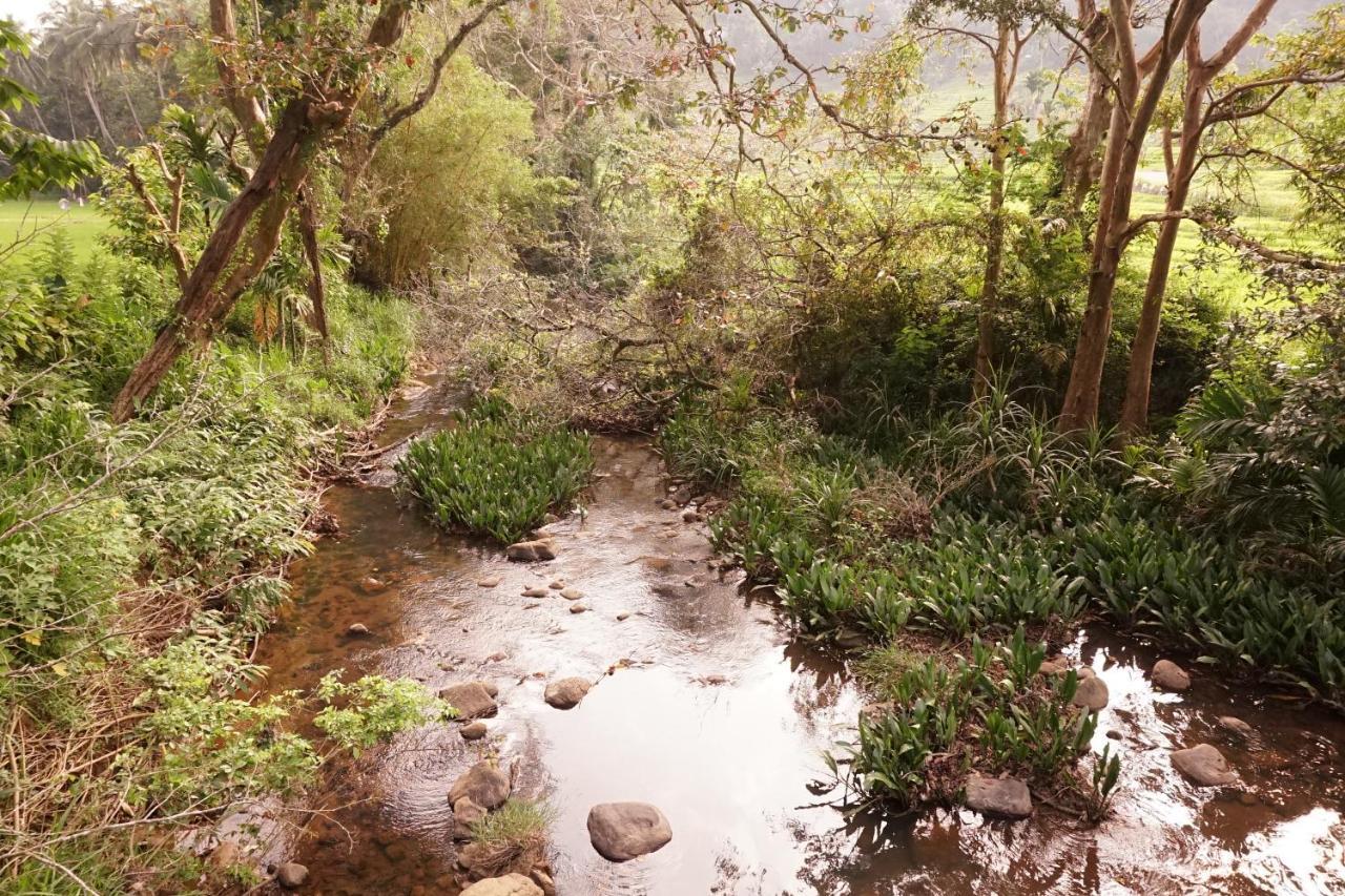 Retiyagama Eco Resort Teldeniya Luaran gambar