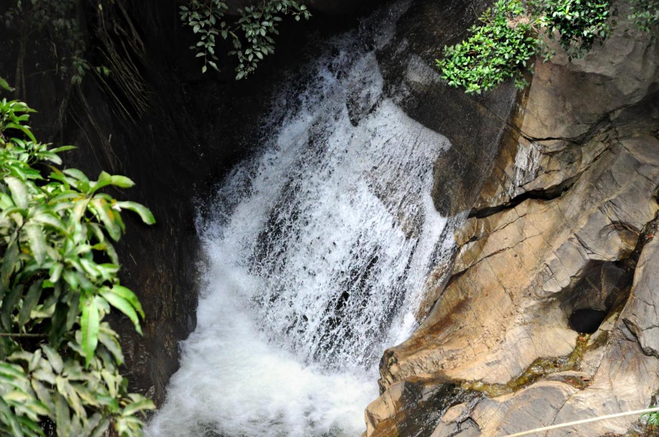 Retiyagama Eco Resort Teldeniya Luaran gambar